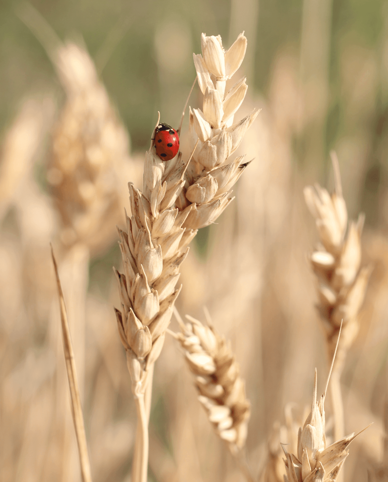 Attività di crescita personale in gruppo