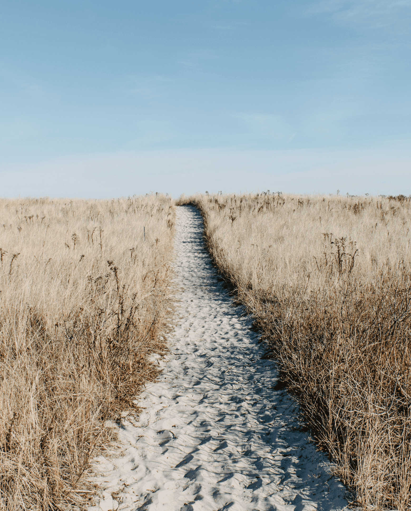 Attività di seminari esperienziali