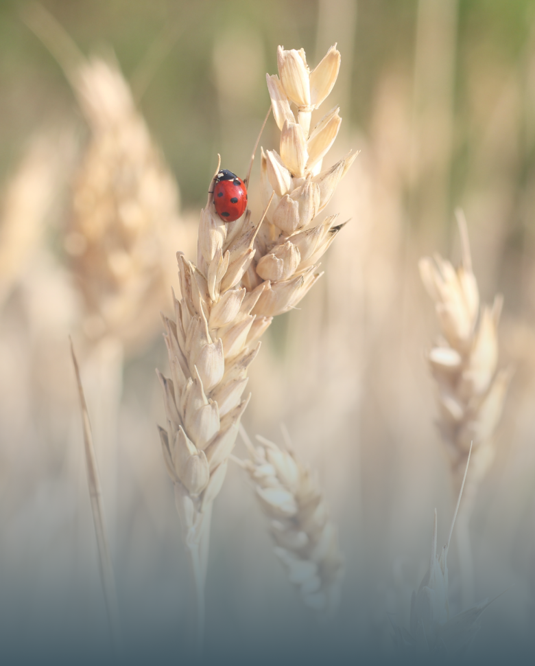Hai bisogno di un gruppo che ti aiuti a crescere_