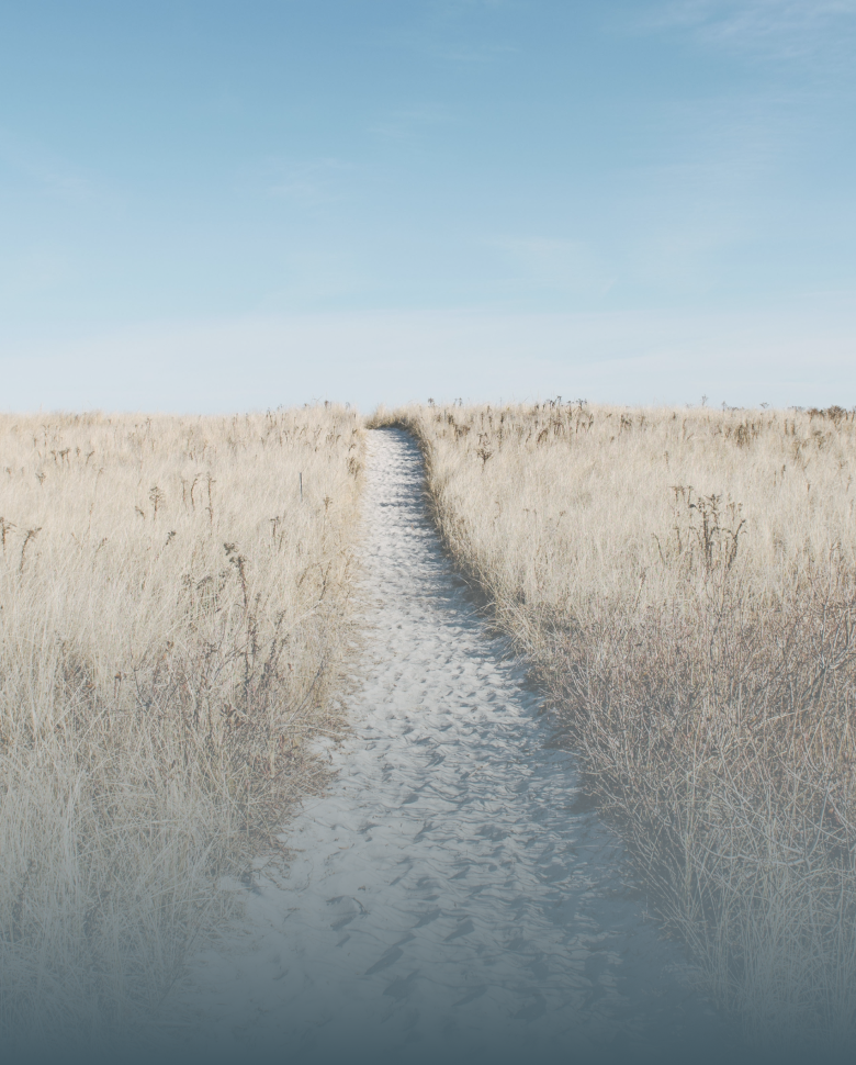 Hai bisogno di vivere un seminario esperienziale_