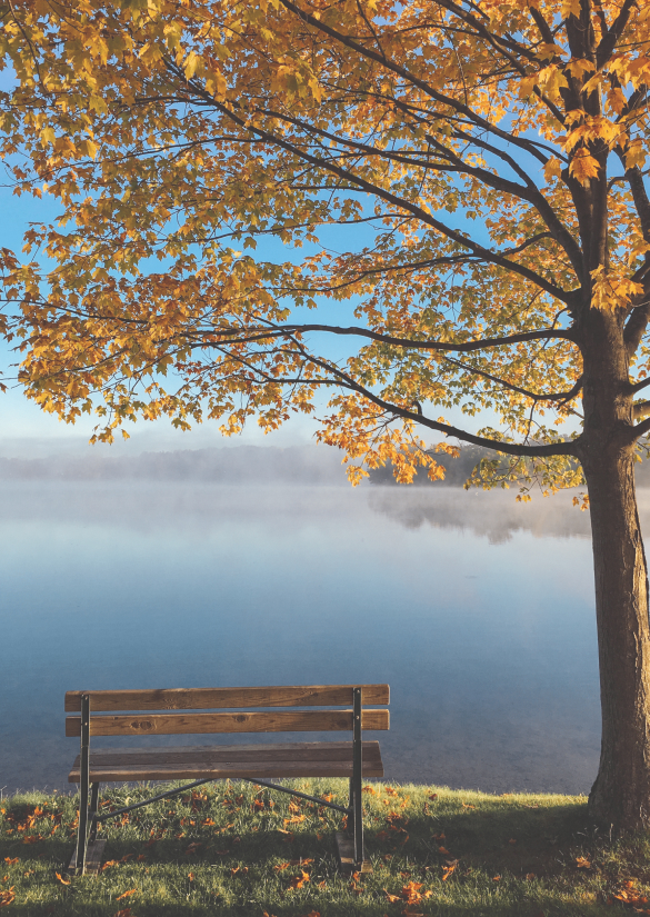 Gruppi di crescita personale per adulti
