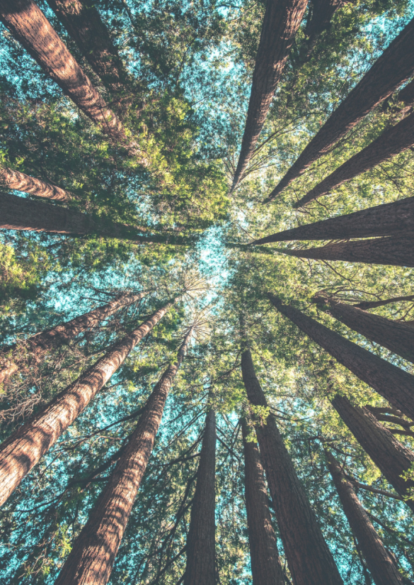 Gruppo di crescita e condivisione per giovani adulti