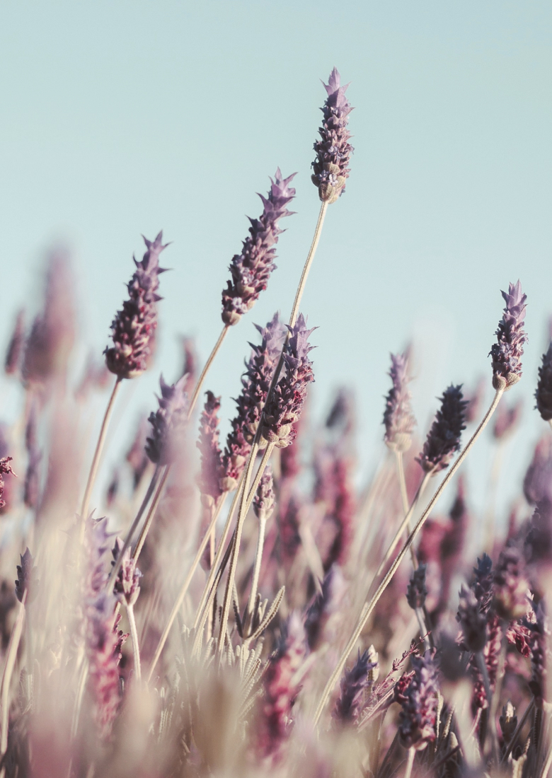 Gruppo di empowerment e crescita femminile