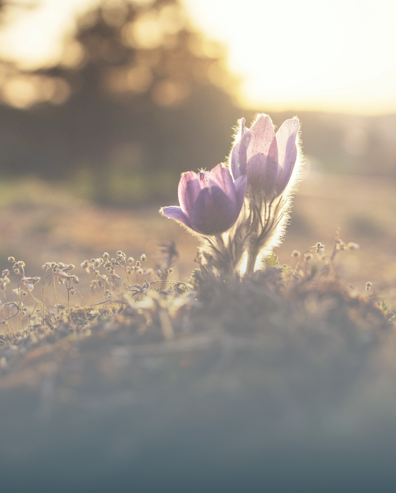 Hai bisogno di vivere un percorso di coppia